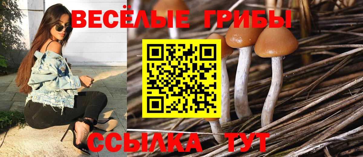 Псилоцибиновые грибы GOLDEN TEACHER  Вход с VPN  как найти закладки  Абакан 